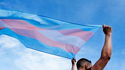 Transflagge
